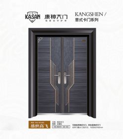 2021康神大门KS-K2153盛世高飞