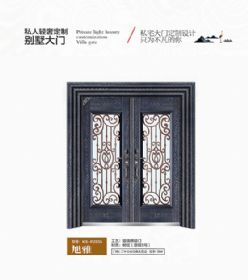 2021康神大门KS-P2535旭雅