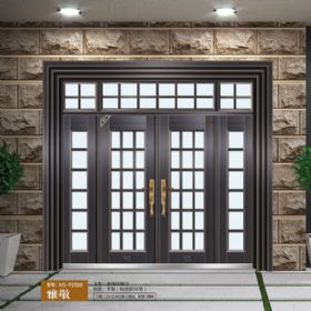 2021康神大门KS-P2538雅敬