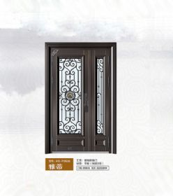 2021康神大门KS-P2536雅蒂