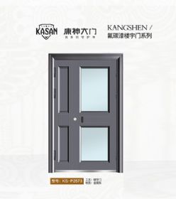 2021康神大门KS-P2573
