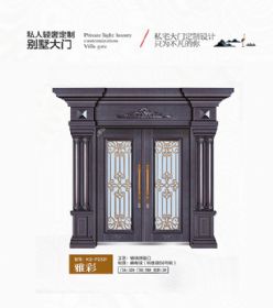 2021康神大门KS-P2531雅彩